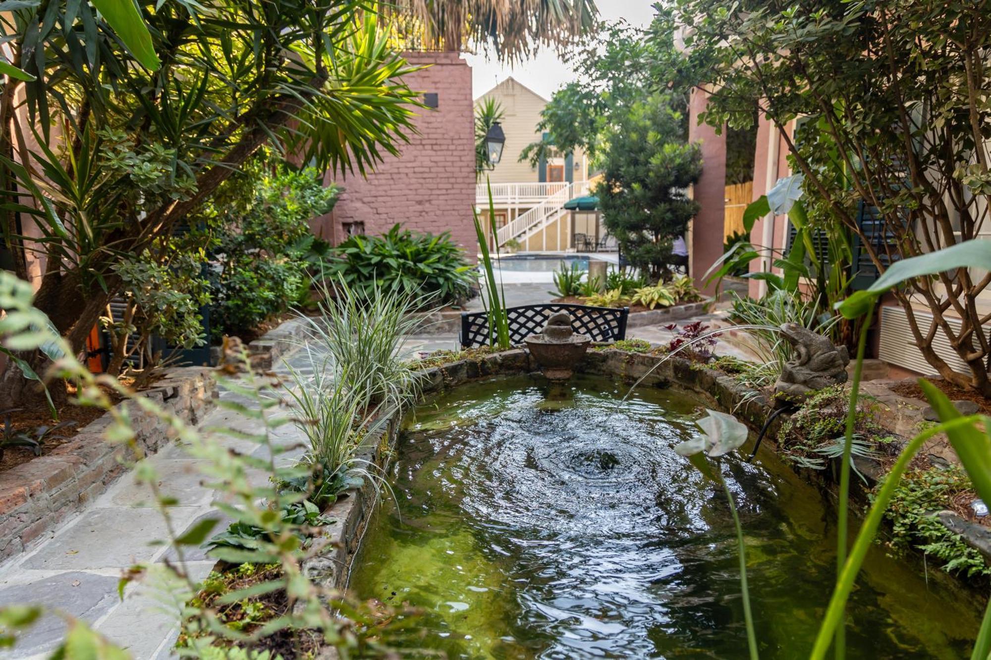 ניו אורלינס Lamothe House Hotel A French Quarter Guest Houses Property מראה חיצוני תמונה